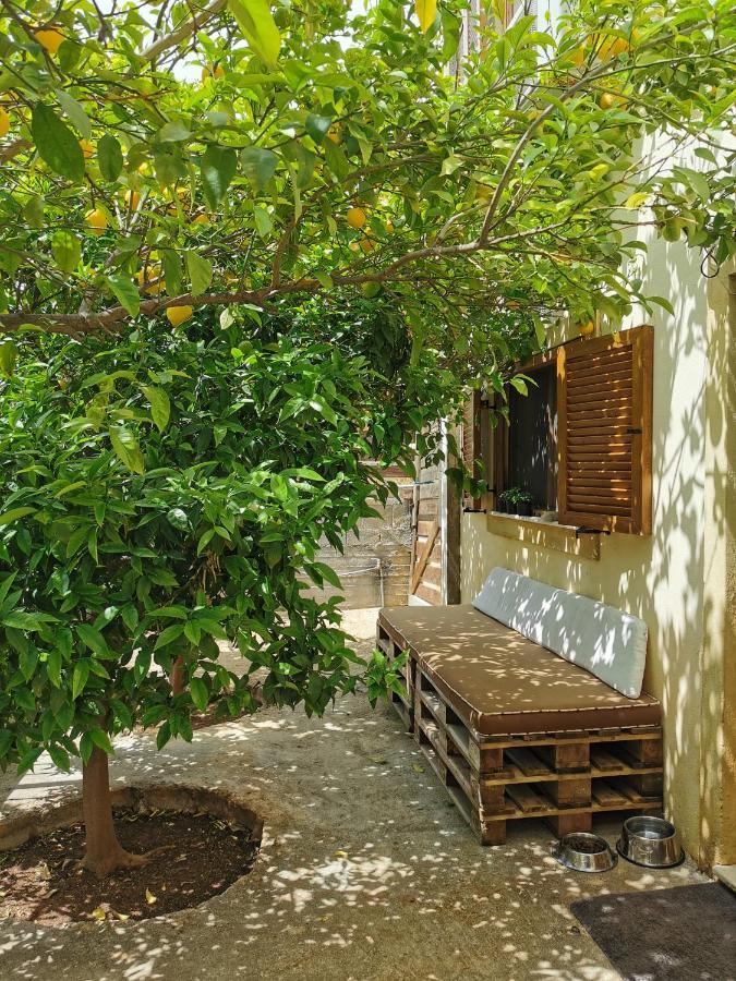 Villa Sofia Anavyssos Dış mekan fotoğraf